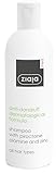 Ziaja ZIAJA MED Anti-Schuppen-Shampoo mit Pyrocton Olamin und Zink, Dermatologische Formel, für alle Haartypen