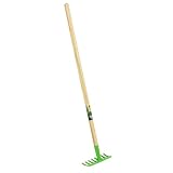 Rekord Kinderrechen (Metall, Grün) mit 8 Zinken und 76 cm Stiel aus Naturholz, Arbeitsbreite 15 cm, Gesamtlänge 78 cm, für Kinder ab 3 Jahre, Laubrechen für Kinder