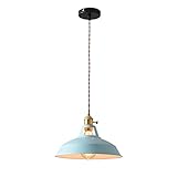 THAELY Rosa Pendelleuchte Für Kücheninsel Lampe Elegante Bunte Design Lampenschirm Für Dänischen Stil Esszimmer Lampe Droplight Für Home Decor Schlafzimmer