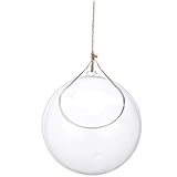 -Futterspender für Vögel im Freien, für den Garten, manuell blasender intelligenter Vogelfutterspender Glas, 10 cm Schleuderstreuer Elektrisch (White, One Size)