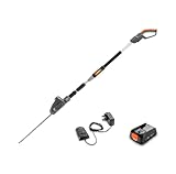 Flymo 18 V UltraCut Reach 420 Akku-Teleskop-Heckenschere – mit 18 V Power for All Akku, 42 cm Schneiden mit 3 m ausziehbarer Reichweite, 90° verstellbarer Kopf, Power For All Alliance