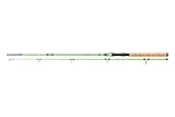 DAIWA Ninja X Kids 602M, 1,80m, 20-60g, 2 Teile, Angelrute für Kinder, Grün, 11208-180