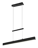 Reality Leuchten LED Pendelleuchte Paros R32043132, Metall Schwarz matt, inklusiv 1x 21 Watt LED und 2x 5,5 Watt LED, Switch Dimmer