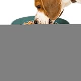 Hundenapf Slow Feeder – Rutschfester, Erhöhter Keramiknapf Für Langsames Fressen | Spülmaschinenfestes Fütterungszubehör Für Hunde Zur Stressreduktion | Interaktiver Futternapf Für Bessere Verdauung