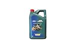 Castrol Magnatec Professional E 5W-20 - 5 Liter