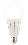 Luminea Tageslicht Glühbirne: High-Power-LED-Lampe E27, 23 Watt, 2.400 Lumen, tageslichtweiß 6.500 K (Tageslichtlampe E27, Tageslicht Lampe, Strahler)