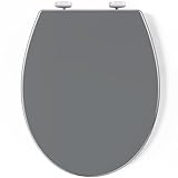 Pipishell Toilettendeckel, WC Sitz mit Absenkautomatik, Quick-Release Funktion für einfach Reinigung (grau)