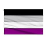 AhfuLife Asexuelle Pride Flaggen 90 x 150 cm, 1 Stück Asexual Flagge LGBT Flagge, The Gay Flag Flagge Asexuell Leuchtenden Farben mit Messing-Ösen für Pride Day Paraden LGBT Party Bar Dekoration
