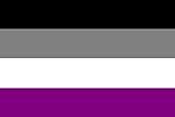 U24 Fahne Flagge Asexuell 90 x 150 cm