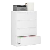 Sightlife Hängeregisterschrank Doppelbahnig Abschließbar, Hängemappenschrank Aktenschrank mit 4 Schubladen Metallschrank Stahlschrank Ordnerschrank Büroschrank Breit Schubladenschrank für A4, Legal