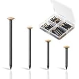 185 BildernäGel Set ,Kopf Gemischte LäNgen 20/25/30mm, StahlnäGel Beton, NäGel zum Bilder AufhäNgen, BildaufhäNger, BetonnäGel, AufhäNger für Bilder