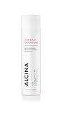 ALCINA Aufbau-Shampoo - Sanfte Reinigung für blondiertes, trockenes oder strapaziertes Haar - 1 x 250 ml