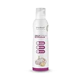 VitalBodyPLUS DailySpray mit Knoblauchgeschmack, 800 Portionen, Pfannenspray zum Braten, Grillen & Backen, ideal zum Abnehmen, Non-Stick cooking spray mit Knoblaucharoma