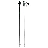 HEAD Unisex – Adult Frontside Skistöcke, schwarz/grün, 125