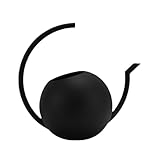 Gießkanne für Zimmerpflanzen, Innenbereich, Gießkanne für Pflanzen, 1000 ml, Edelstahl-Gießkanne mit langem Ausgießer, Pflanzenflasche