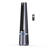 Rowenta rotorloser 2 in1 Luftreinigungsventilator Eclipse QU5030 | Luftreiniger und Ventilator | Feinpartikel | 12 Geschwindigkeiten | Timer | verzögerte Startfunktion | Fernbedienung | Anthrazit