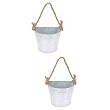 HEMOTON 2 Stück Hängender Wandblumentopf Eisen Vintage Design für Innenräume Dekorativer Pflanzer für Balkon Büro und Robuste Bauweise und Langlebig Stilvolle Blumen Dekoration für Zuhause