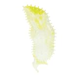 TOBBOMEY Beißspielzeug Für Hunde, Hundespielzeug Für Aggressive Kauer, Hundegeburtstagskuchenspielzeug Für Aggressive Kauer, Tauziehenspielzeug Für Hunde, Butterbär Eichhörnchen,