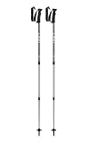 LEKI Unisex-Adult TR Voyager Poles, Silvergray-White, 110-145cm