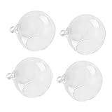 Cabilock 4 Stücke hängende Glaskugelvase Moderne Vase Pflanzendekoration groß transparent hängender Blumentopf runde Vase hängende Glaskugeln Hängendes Terrarium aus Glas Kugelvase aus Glas