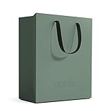 stardis binbox Design Papierkorb eckig stylischer Papiereimer mit Tragegriffen für Büro Office Kunststoff Mülleimer Abfalleimer Müllkorb (grün)