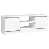vidaXL TV Schrank mit Tür Lowboard TV Möbel Tisch Board Sideboard Fernsehschrank Fernsehtisch HiFi-Schrank Wohnzimmer Weiß 102x30x36cm
