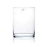 Sandra Rich Glasvase CYLI H. 20cm D. 15cm Dekoglas Zylinder