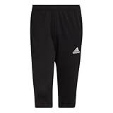 adidas Herren Entrada 22 3/4 Pants, Black, XXL
