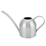 VIFERR Edelstahl Gießkanne, 1000ml Kleine Gießkanne mit Langer Ausguss, Zimmerpflanze Sprinkler Blumengießkanne Bonsai MiniGießkanne für Büro Haus Balkon Garten Pflanzen (Silber)