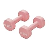 Hantelset Mit Gewichten Hanteln Herren Fitness Home Ein Paar Gusseisen Fitnessgeräte Übung Indoor Tauchhanteln Aus Kunststoff Hantelset(3kg)