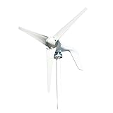 Hochleistungs-Windturbinengenerator, 1000 W Windkraftanlage Generator 12 V 24 V 48 V DC 220 V AC Home System Grüne Alternative Energie Sonnenkollektoren Home Energy Solutions Hohe Windenergienutzung (