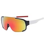 SONGGDZ Crossbrille Verspiegelt,Motorradbrille, Outdoor Cycling Sonnenbrille Sprotte Bike MTB Mountain Bicycle Gläser Motorrad Fisch Sonnenbrille Radfahren Eyewear(5)