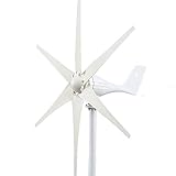 Hochleistungs-Windturbinengenerator, 6 Blätter Windmühlen Windkraftanlage Generator Energie 3000W 12V 24V 48V mit Mppt Laderegler for den Heimgebrauch Windsystem Hohe Windenergienutzung ( Color : 12V