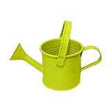 GießKanne Klein, GießKanne Metall, Giesskanne Klein,GießKanne Zimmerpflanzen,Watering Can, GießKanne FüR Den Innenbereich, GartengeräTe, FüR Zimmerpflanzen Im Freien Garten Blumen (Grasgrün)