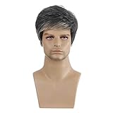 BRRNOO Herrenperücken, Herrenperücken, Perücken für Männer mit Elastischer Schnalle, Modische, Flauschige Kurze Perücke für Männer, M26, für Karneval, Festival, Perücke, Kurze, Partymode