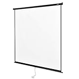 in.tec Projektionsleinwand HD 3D Beamer 113 Zoll Rollo-Leinwand selbstaufrollend 203 x 203 cm Wandmontage Deckenmontage alle Formate für Heimkino Büro Seminare