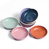 WANBY Kunststoffplatten 10 Stück Leichte 5,6' Plastikplatten Unzerbrechlich Abendessen Teller Platten Set Nichttoxin Spülmaschine & Mikrowelle Safe BPA frei und gesund