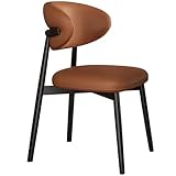 Gepolsterter Armlehnstuhl für Küche, Esszimmer und Wohnzimmer