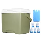 Portable Cooler, Outdoor Ice Chest, Insulated Car Refrigerator, Leakproof Travel Box, Capacity Cold Storage with Handle for Woman, Man, Camping, Road Trip, Picnic, Beach, 11.02x7.87x9.84 Inches