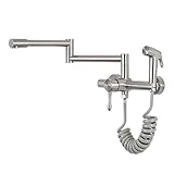 Wandmontierte Küchenspüle Wasserhahn Edelstahl Drehbare Wandarmaturen mit Spritzpistole Warm- und Kaltwasser Gebürstetes Finish