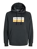 JACK & JONES JORFREDERIKSBERG Box Sweat Hood SN