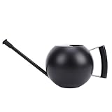 Luocute Gießkanne, 1000 Ml, Edelstahl-Gießkanne für den Innenbereich mit Langem Auslauf und Abnehmbarer Düse für Sukkulenten, Blumen, Zimmerpflanzen, Garten