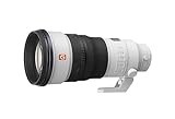 Sony FE 300 mm F2.8 GM OSS