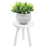 VICASKY Blumentopfhalter Praktischer Pflanzenständer Für Drinnen Runder Blumenhocker Massivem Abnehmbar Für Sukkulenten