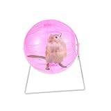 Beaupretty Kleines Haustier Läuft Über Den Ball Spielzeug Für Haustiere Lautloses Hamsterrad Hamster Auto Auf Hamster Rennen Hamsterübung Zwerghamster Igelrad Rosa Hamsterbedarf Sport Fitness