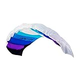 Wolkenstürmer® Paraflex Basic Lenkmatte 1.2 (blau) – Kite mit 2x25m Polyesterleinen + Flugschlaufen - 120 cm Flugdrachen für Kinder ab 6 Jahren