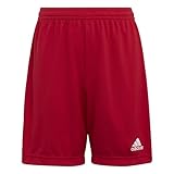 adidas Unisex Kinder Ent22 Y Shorts, Tepore, 11-12 Jahre EU