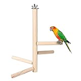 Hölzerner Vogel Käfigstand Part Sach Training Ständer Lovebird Rasting Rack