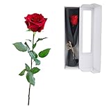 elthmpr Infinity Rose rosa am Stiel - Echte konservierte Rose in Geschenkbox für Frauen in Ihrem GeburtstagsjubiläUm Muttertag