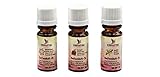 CREARTEC Seifenduftöl Set Winter - bestehend aus Wintertraum, Bratapfel & Vanille - Seifenaroma zur Herstellung von individuell duftenden Seifen, Badekugeln, uvm. - Vegan - 3x10ml - Made in Germany